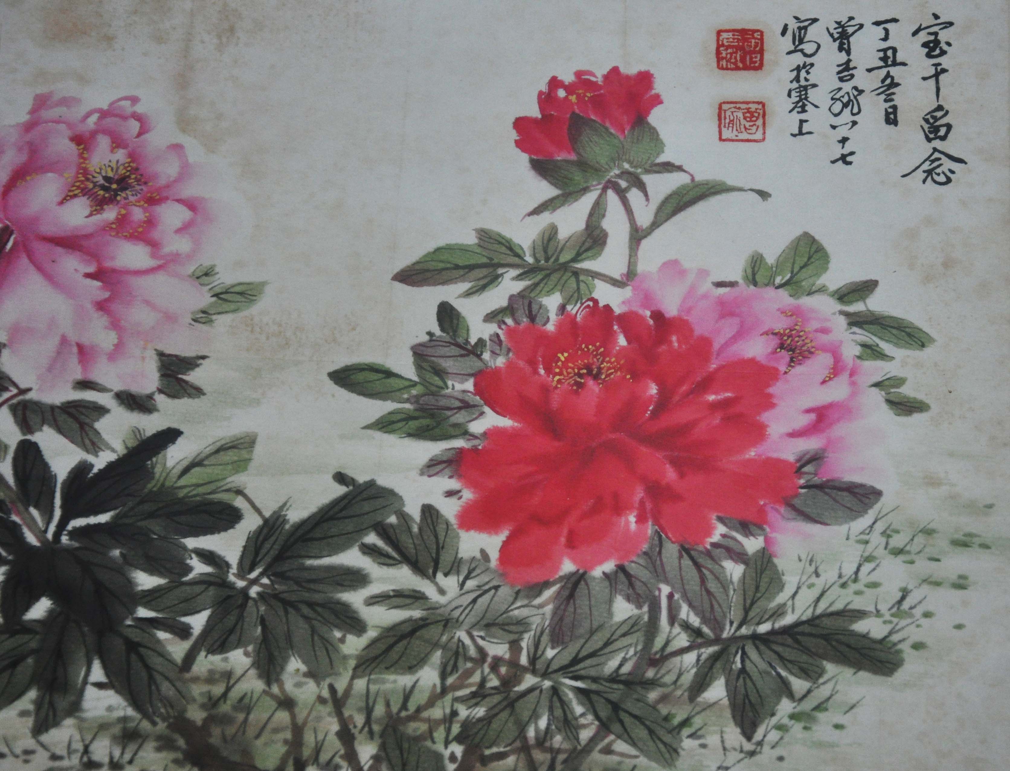 牡丹图6